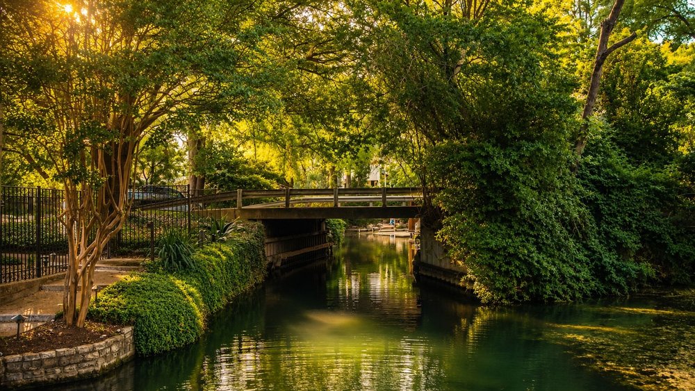 Sunlit bridge over a tree-lined canal