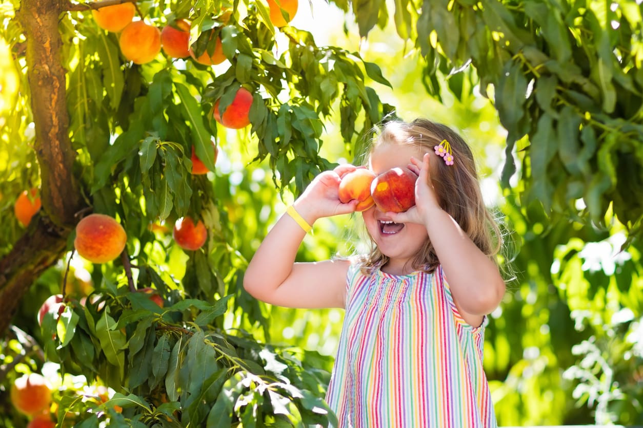The Oldham Group Austin | Texas Peaches