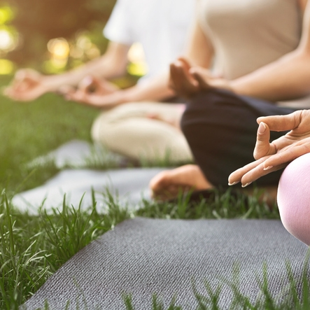People meditate on yoga mats in nature.