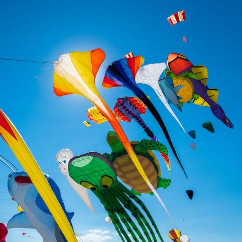 Colorful kites shaped like sea creatures in sky