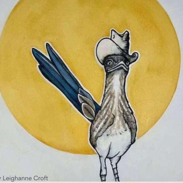 Cartoon bird wearing a cowboy hat, yellow background.