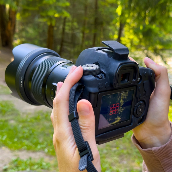 Rope Trix Hands holding DSLR camera in sunlit forest
