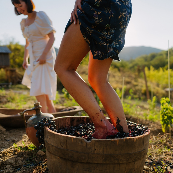 Woman stomping grapes in wooden barrel at vineyard